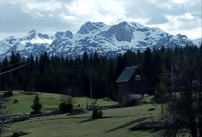 Village house Popovic